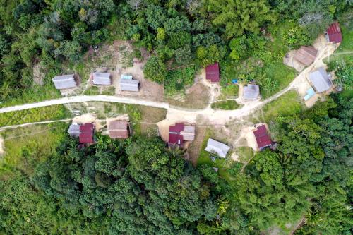 PENDIDIKAN ORANG ASLI