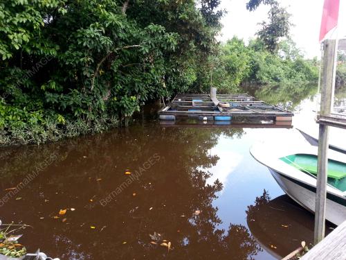 FEA06_03092013_BAKAU