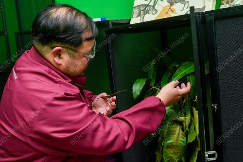 DR GOH SOON HENG