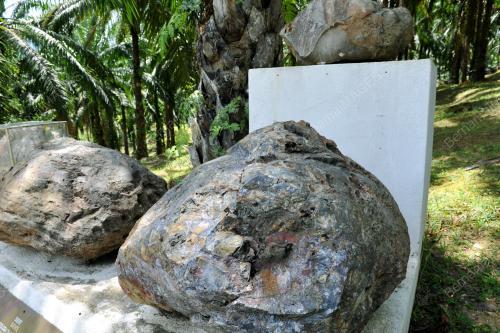 FEA06_09112012_LENGGONG
