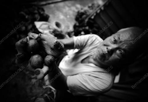 FEA06_15022012_AH_TONG
