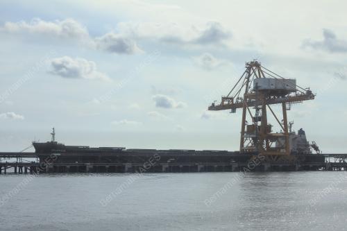 INTEGREX JANAMANJUNG