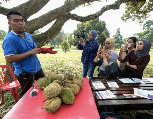 FEA06_16072019_DURIAN