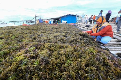 RUMPAI LAUT