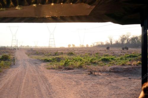 FEA06_20112012_ZIMBABWE