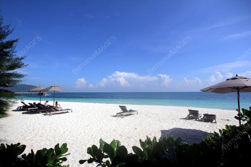 FEA06_20112015_TAMAN_LAUT
