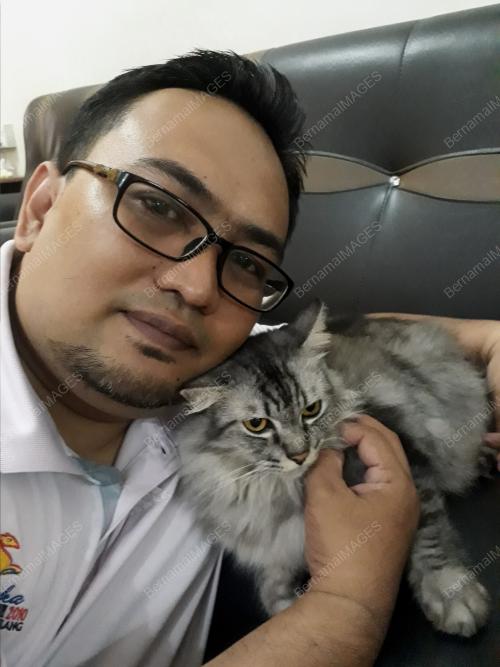 FEA06_21072017_KUCING
