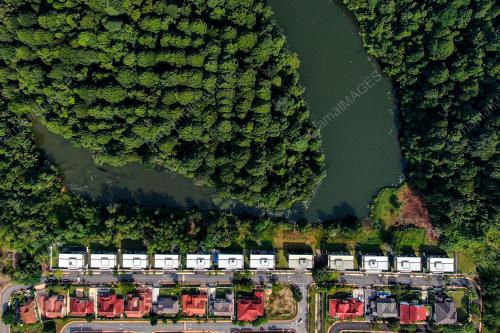 HUTAN DIGONDOLKAN UNTUK PEMBANGUNAN