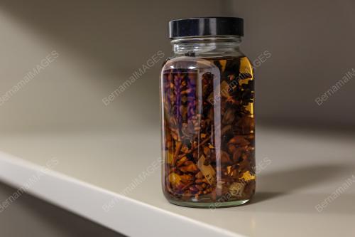 HERBARIUM DBKL