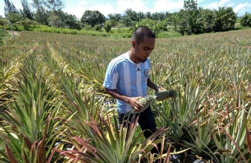 FEA07_03042019_PETANI