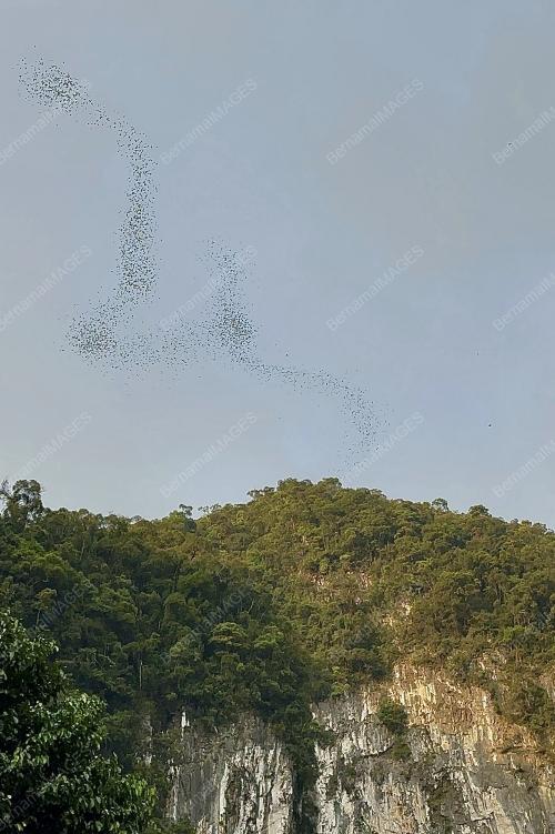 TAMAN NEGARA MULU