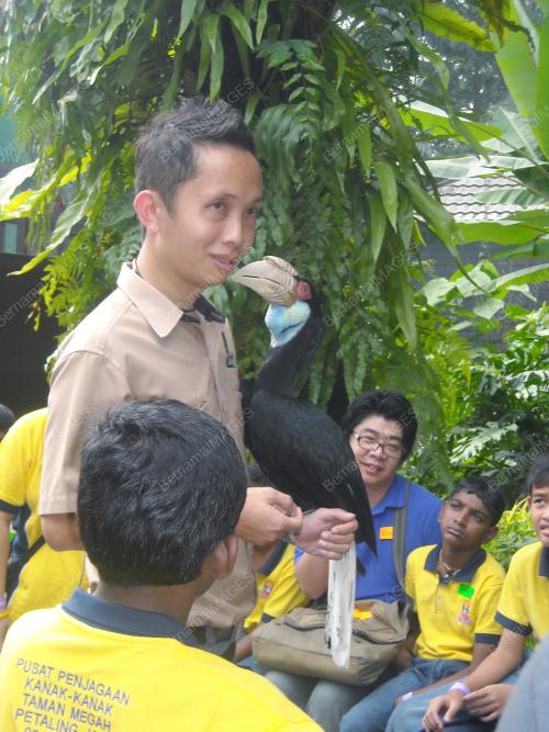 FEA07_05012012_JOY_AND_FUN