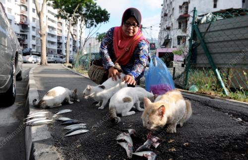 FEA07_05072015_KUCING