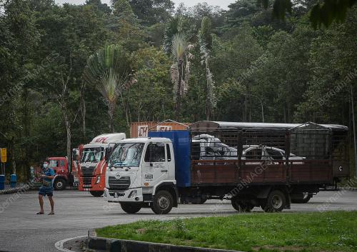 PEMANDU KENDERAAN BERAT
