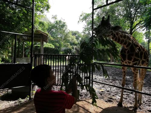 FEA07_08022018_ZOO