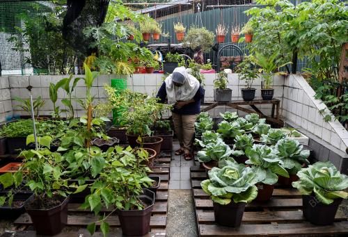 PROJEK KEBUN BANDAR DAMAI SARI DI PPR WANGSA SARI