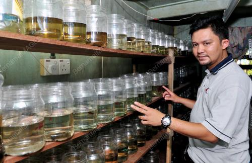FEA07_10042012_IKAN_LAGA