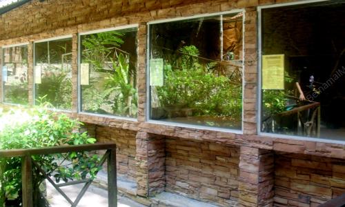 FEA07_12072012_TAMAN_ULAR
