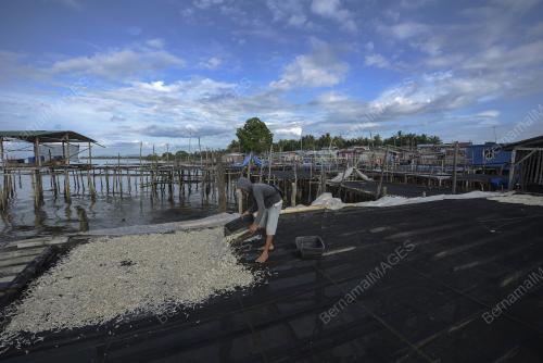 FEA07_13042018_IKAN_BILIS
