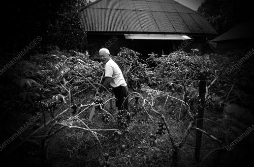 FEA07_15022012_AH_TONG