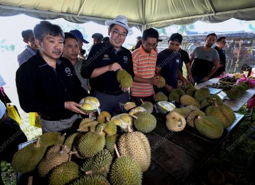 FEA07_16072019_DURIAN