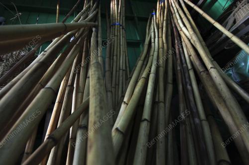 FEA07_21082019_ROTAN_BN201908137857