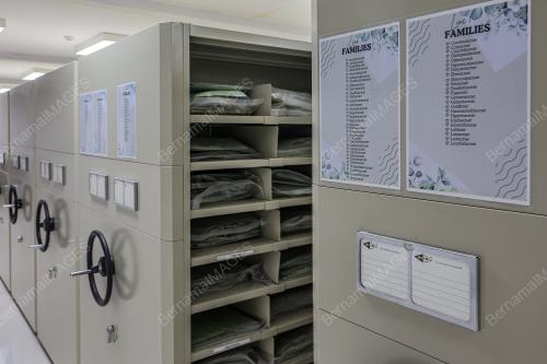 HERBARIUM DBKL
