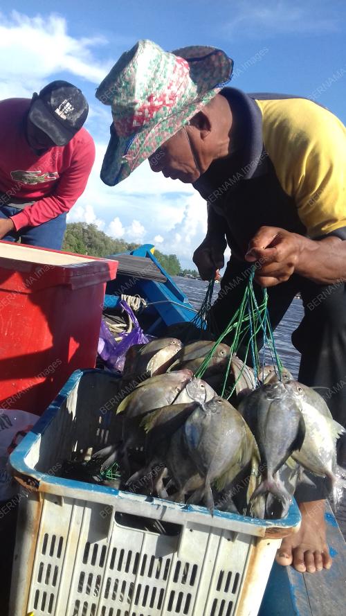 FEA07_27082018_PANAU