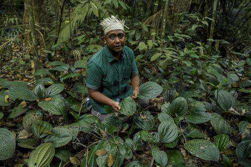 HSKLU_HUTAN
