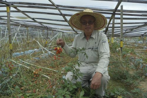 FEA08_10042019_PEKEBUN