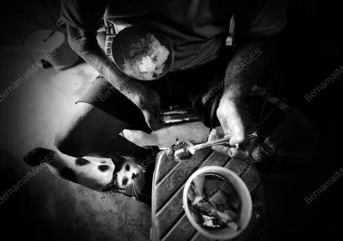 FEA08_15022012_AH_TONG
