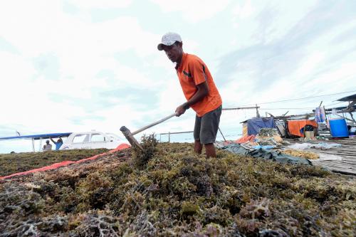 RUMPAI LAUT