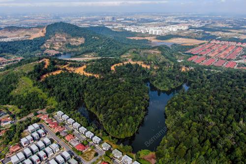 HUTAN DIGONDOLKAN UNTUK PEMBANGUNAN