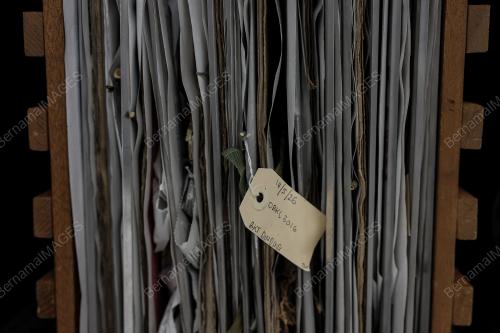 HERBARIUM DBKL