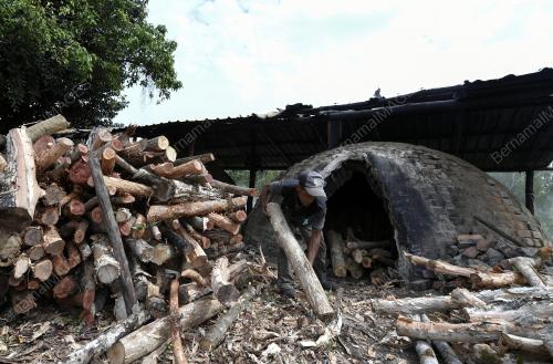 FEA09_02012019_ARANG_KAYU