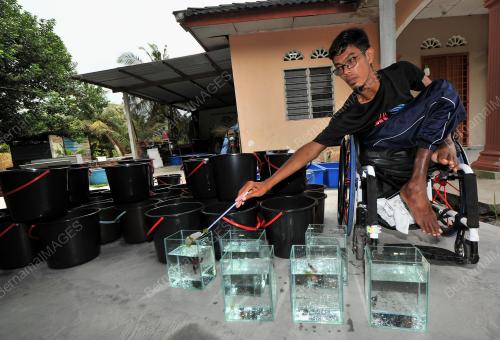MOHD FAIZAL KHAMIS