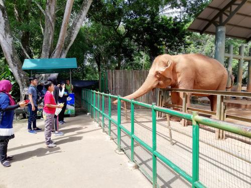 FEA09_08022018_ZOO