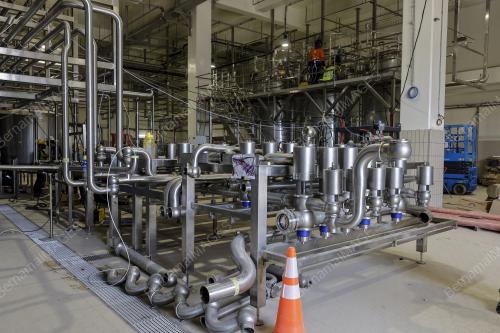 DUTCH LADY MILK INDUSTRIES BHD (DLMI)