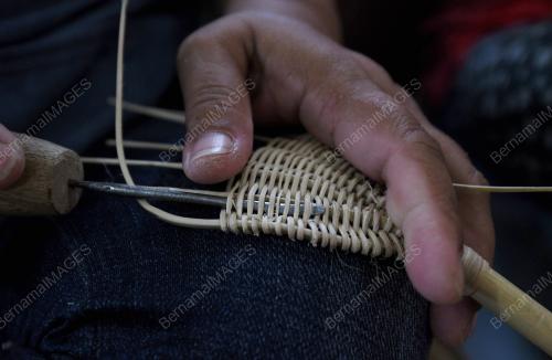 FEA09_09082018_ROTAN_KOTA_BELUD