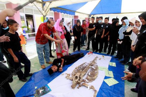 FEA09_10052014_DUGONG