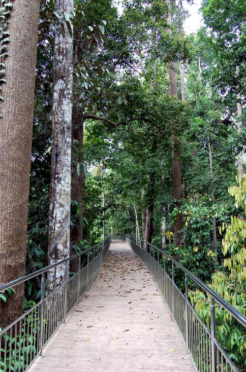FEA09_19082013_BERUANG