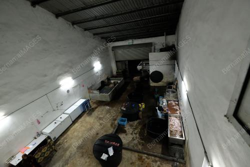 FEA09_27122018_SEBELIHAN_HALAL