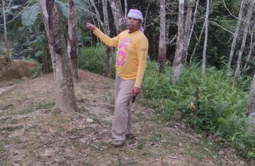 ORANG ASLI