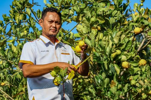 LEMON_KLUANG