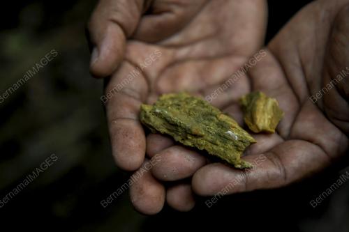 HSKLU_HUTAN