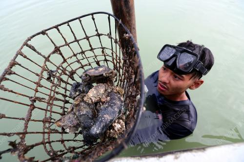 TIRAM SUNGAI MUAR