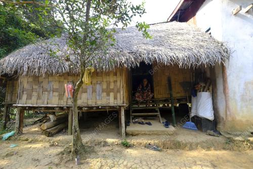 ORANG ASLI
