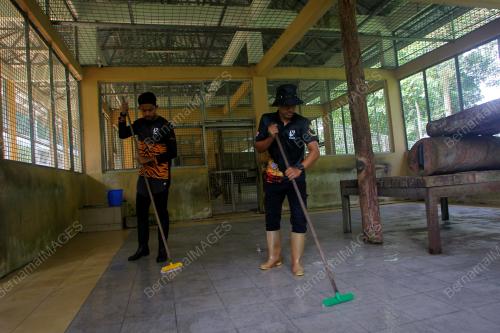 PENJAGA HARIMAU MALAYA DI NWRC