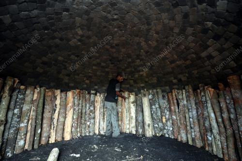 FEA11_02012019_ARANG_KAYU