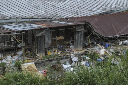 FEA11_10042019_PEKEBUN
